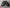 AUDI R8 RS8 TT TTS MIRROR COVER CARBON FIBER