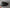 AUDI R8 RS8 TT TTS MIRROR COVER CARBON FIBER
