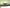 BENTLEY BENTAYGA FRONT BONNET