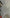 BENTLEY BENTAYGA FRONT BUMPER COMPLETE OEM