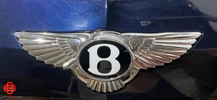 BENTLEY BENTAYGA RADIATOR GRILL FRAME MEN RADIATOR GRIL FRAME