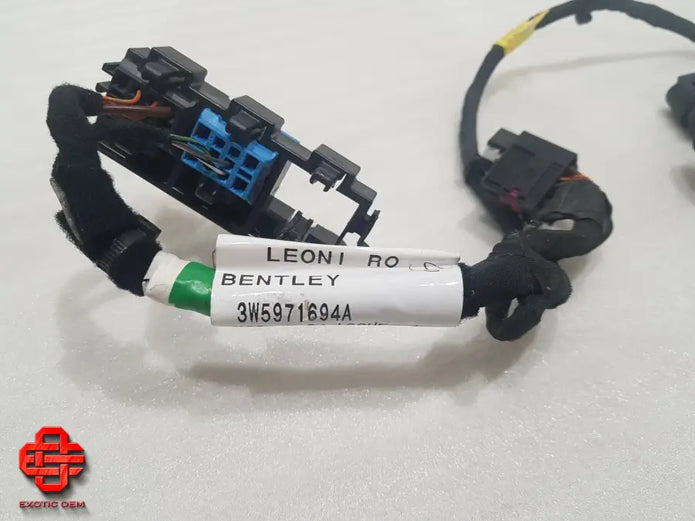 BENTLEY CONTINENTAL FLYING SPUR WIRING HARNESS DOOR HR DOOR WIRING HARNESS