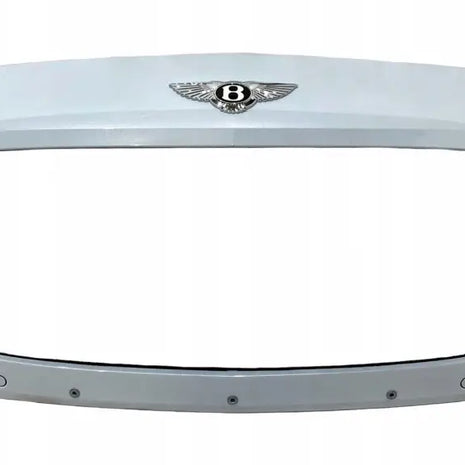 BENTLEY CONTINENTAL GT GTC GRILL COVER GRILL GRILLE
