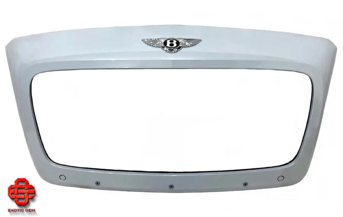 BENTLEY CONTINENTAL GT GTC MEN RADIATOR GRIL FRAME