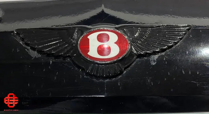 BENTLEY FLYING SPUR RADIATOR GRILL FRAME MEN RADIATOR GRIL FRAME