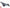 BUGATTI CHIRON RIGHT FRONT FENDER