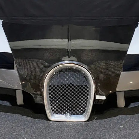 BUGATTI VEYRON COMPLETE FRONT HOOD FENDER