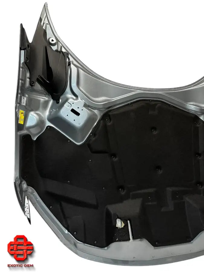 FERRARI PUROSANGUE FRONT BONNET LID