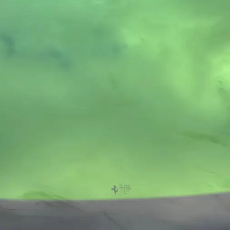 FERRARI PUROSANGUE - PANORAMA ROOF - PANORAMA ROOF 869869