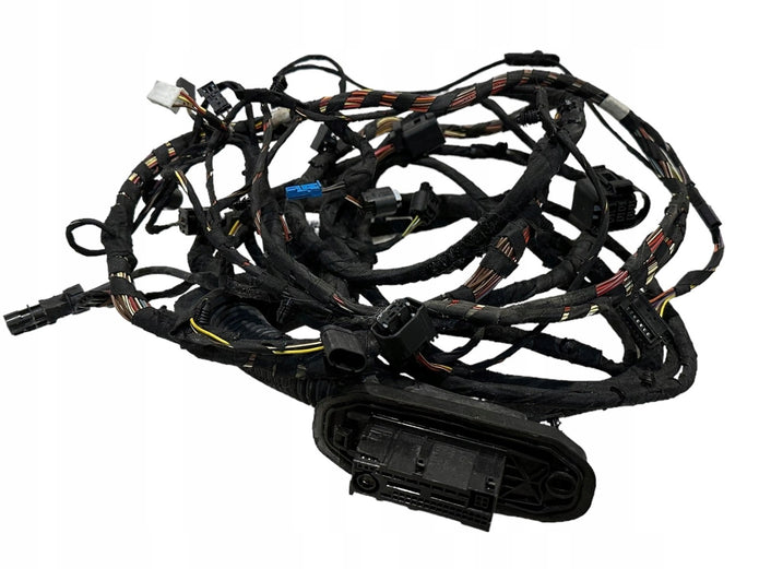 ROLLS ROYCE WRAITH DAWN DOOR HARNESS