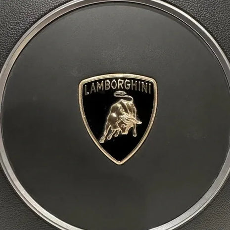 LAMBORGHINI GALLARDO AIRBAG CUSHION