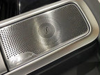 MERCEDES BENZ G W463 LEFT DOOR PANEL