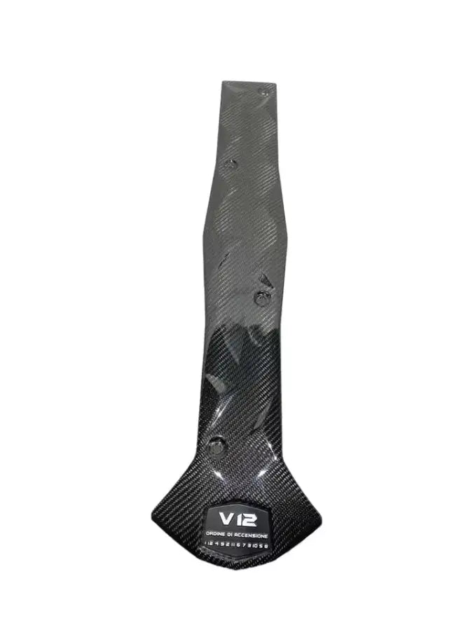 LAMBORGHINI AVENTADOR CARBON ENGINE COVER