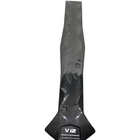 LAMBORGHINI AVENTADOR CARBON ENGINE COVER