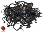LAMBORGHINI GALLARDO WIRING HARNESS SET