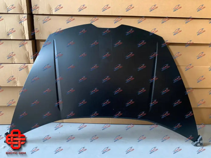 LAMBORGHINI HURACAN FRONT HOOD
