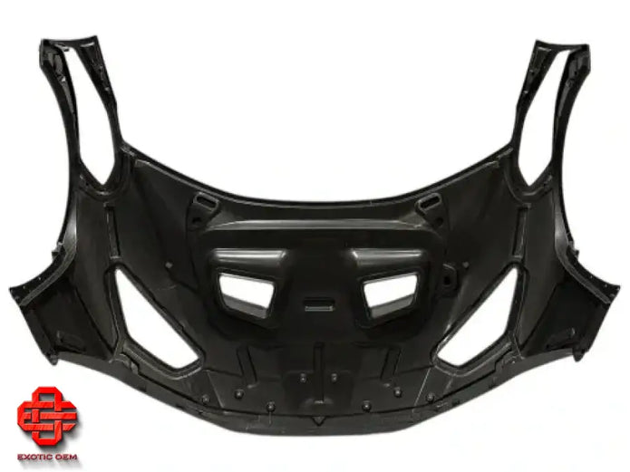 LAMBORGHINI HURACAN STO CARBON FRONT HOOD