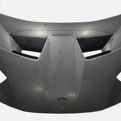 LAMBORGHINI HURACAN STO CARBON FRONT HOOD - OEM