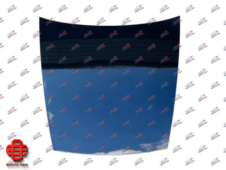 MASERATI MC20 COMPLETE FRONT HOOD