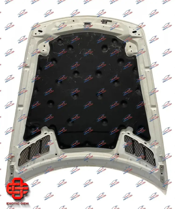 MERCEDES BENZ SLS AMG FRONT HOOD