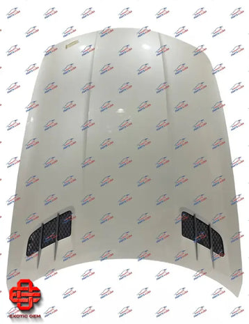 MERCEDES BENZ SLS AMG FRONT HOOD