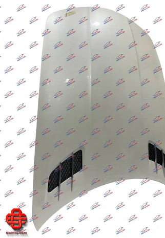 MERCEDES BENZ SLS AMG FRONT HOOD