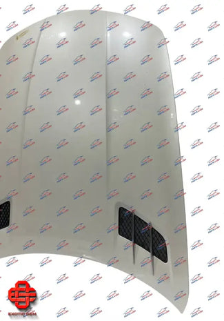 MERCEDES BENZ SLS AMG FRONT HOOD