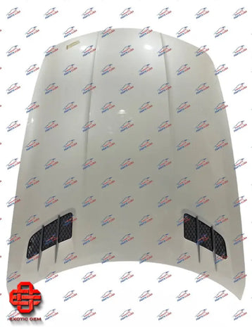 MERCEDES BENZ SLS AMG FRONT HOOD