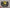 PORSCHE 935 982 718 GT4 CARBON STEERING WHEEL DSG OEM