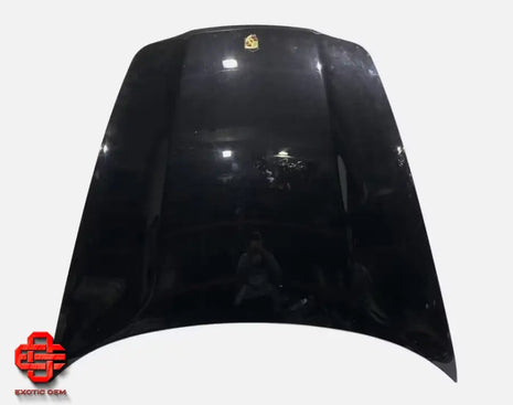 PORSCHE PANAMERA FRONT HOOD