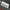 ROLLS ROYCE CULLINAN RR31 FRAME RADIATOR GRILLE