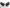 ROLLS ROYCE GHOST 2025 - HEADLIGHT SET - HEADLIGHTS KIT NEW
