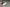 ROLLS ROYCE PHANTOM SERIES II FRONT BUMPER FRONT BUMPER