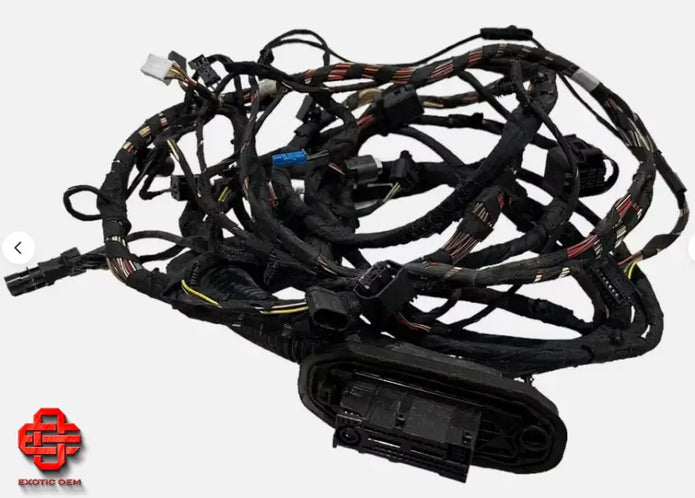 ROLLS ROYCE WRAITH DAWN DOOR WIRING HARNESS