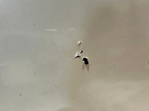 MASERATI QUATTROPORTE M139 FRONT BONNET